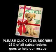 All purchases made from this link support our rescue, including subscriptions!